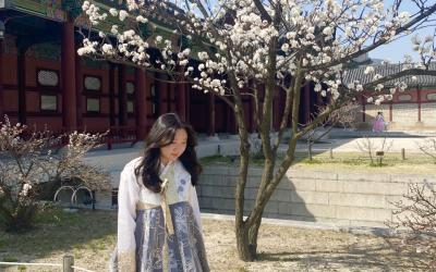 A person in traditional Korean hanbok standing under a blooming cherry tree at Gyeongbokgung Palace.